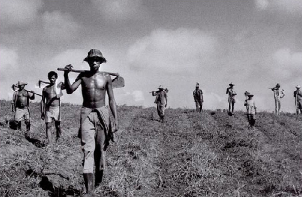 Фотограф Себастио Сальгадо (Sebastiao Salgado)